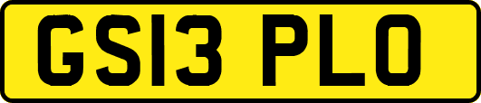 GS13PLO