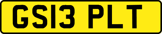 GS13PLT