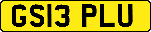 GS13PLU