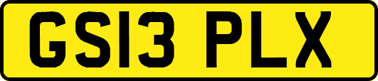 GS13PLX