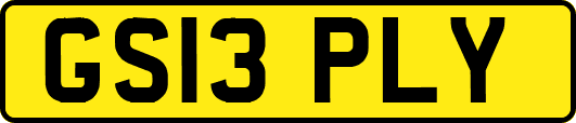 GS13PLY