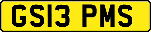 GS13PMS