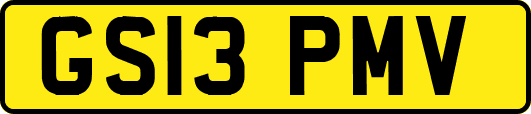 GS13PMV