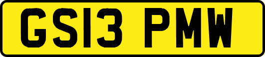 GS13PMW