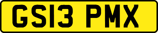 GS13PMX