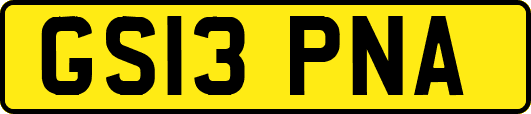 GS13PNA