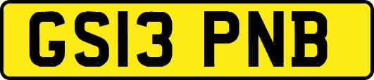 GS13PNB