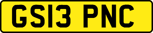 GS13PNC