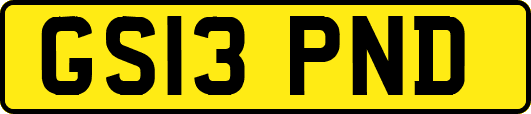 GS13PND