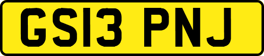 GS13PNJ