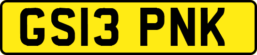 GS13PNK