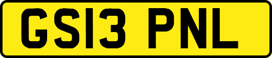 GS13PNL