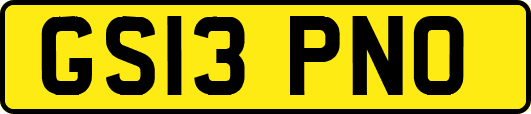 GS13PNO
