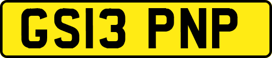 GS13PNP