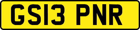 GS13PNR