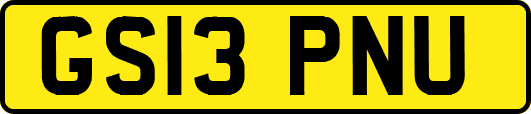GS13PNU
