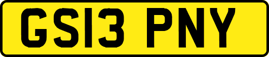 GS13PNY