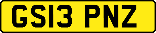 GS13PNZ