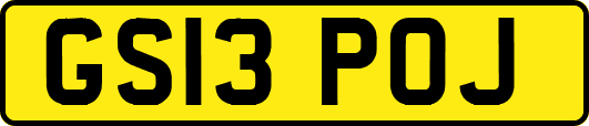 GS13POJ