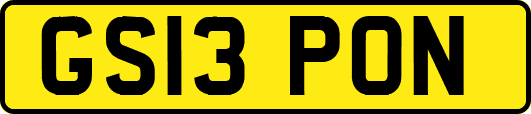GS13PON