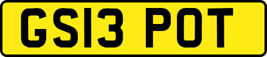 GS13POT