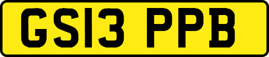 GS13PPB