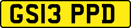 GS13PPD