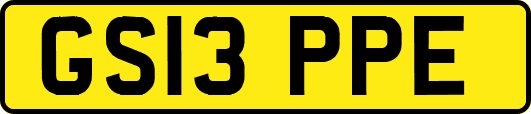 GS13PPE