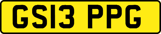 GS13PPG