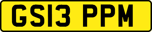 GS13PPM