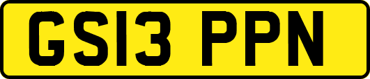 GS13PPN