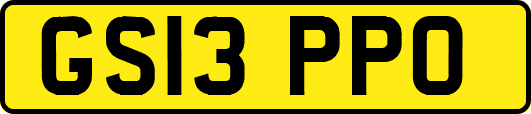 GS13PPO