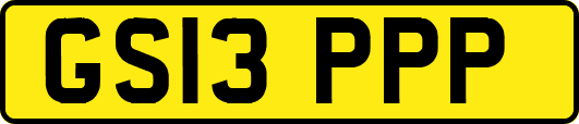 GS13PPP