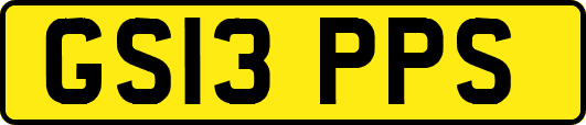 GS13PPS