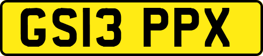 GS13PPX
