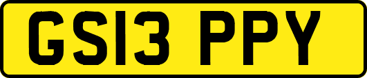 GS13PPY