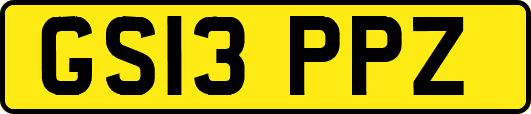 GS13PPZ