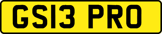 GS13PRO