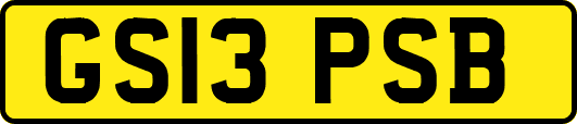 GS13PSB