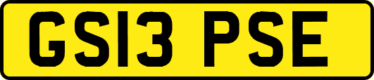 GS13PSE