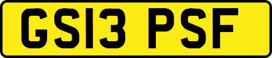 GS13PSF