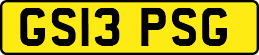 GS13PSG