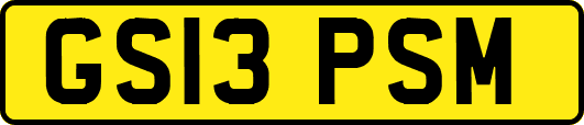 GS13PSM