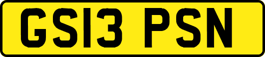 GS13PSN