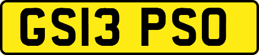 GS13PSO