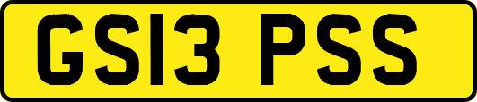 GS13PSS