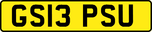 GS13PSU