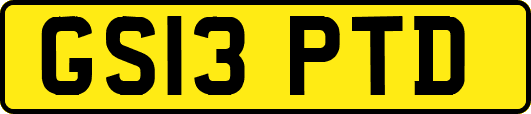 GS13PTD