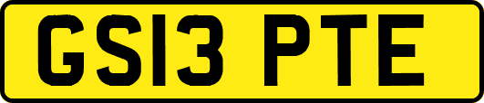 GS13PTE
