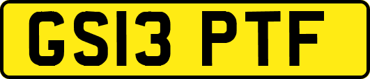 GS13PTF